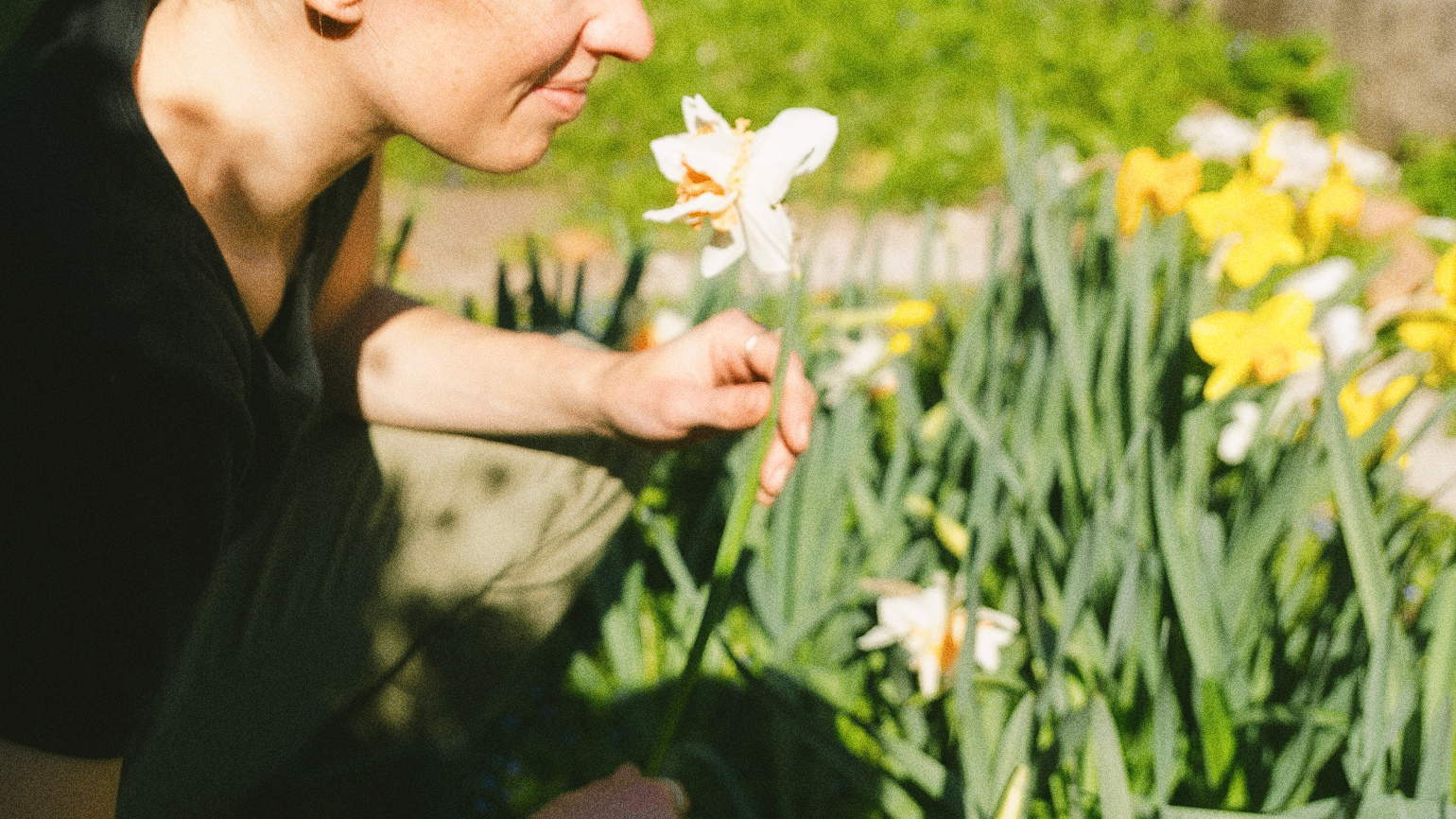Woman smelling a daffodil while thinking about her new goals for gardening