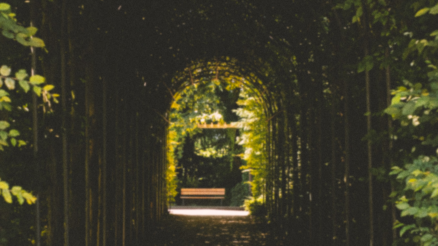 A dark tunnel leading toward a purpose in life